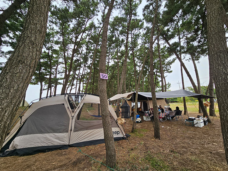 마검포 아름뜰 캠핑장 전경3