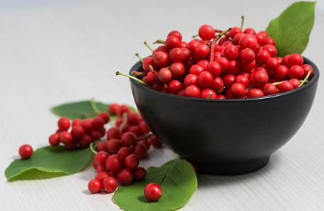 오미자 효능, 부작용, 수확시기 총정리 (2024ver)