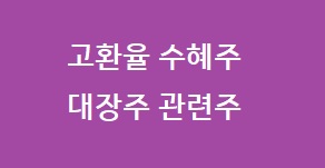 고환율 수혜주
