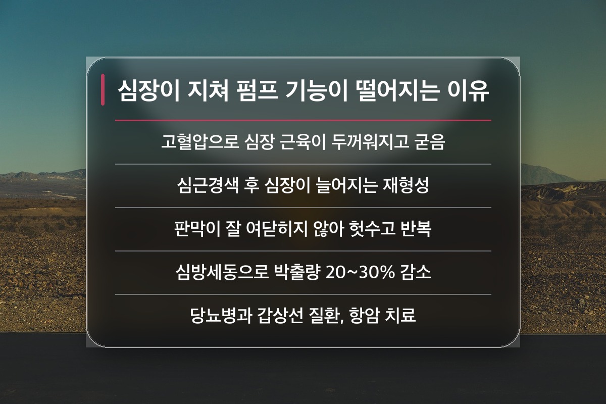 심부전 심부전은 왜 생기는 걸까요?