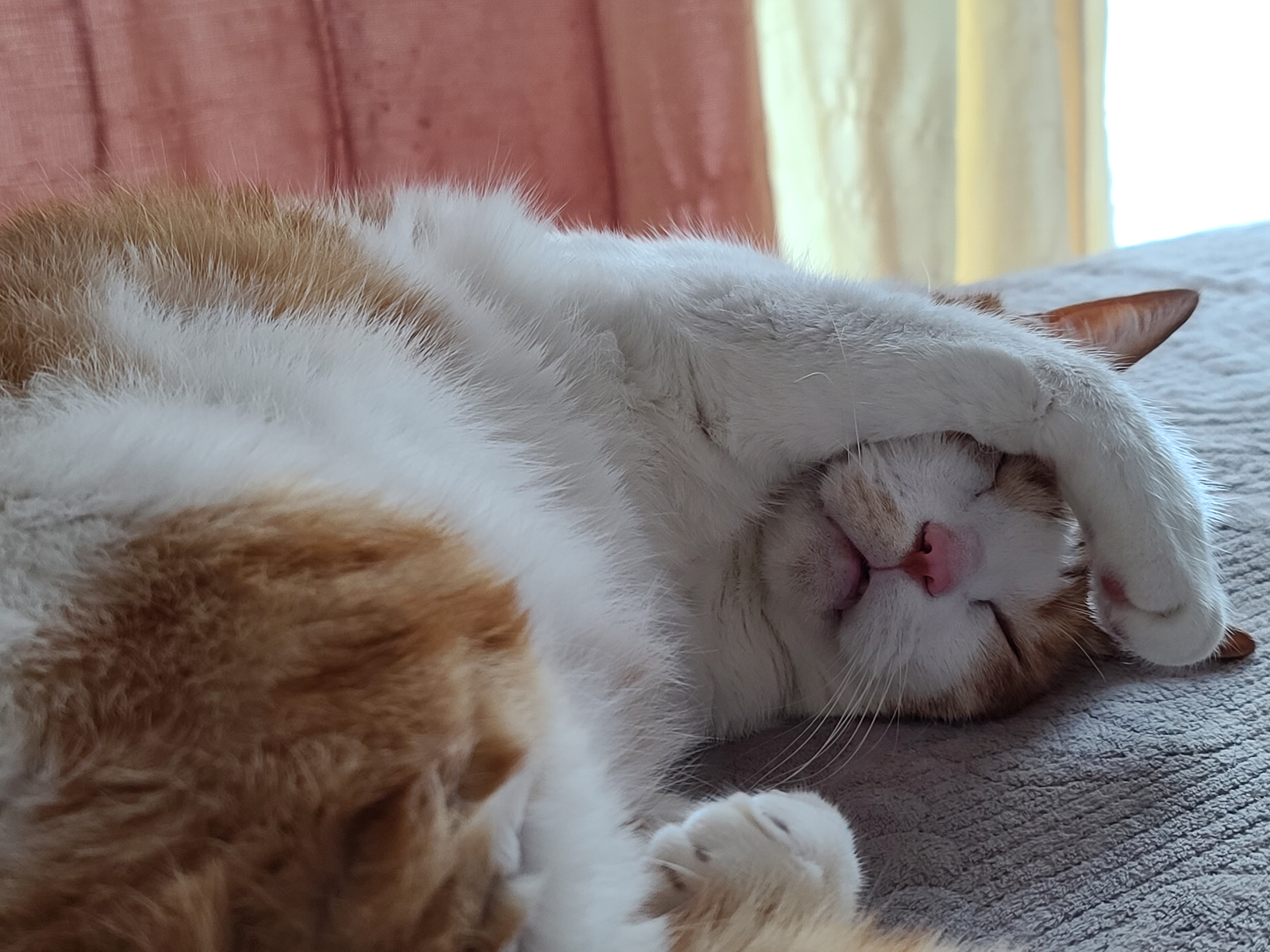 힘든 월요일은 막둥이의 귀여움으로 극복!