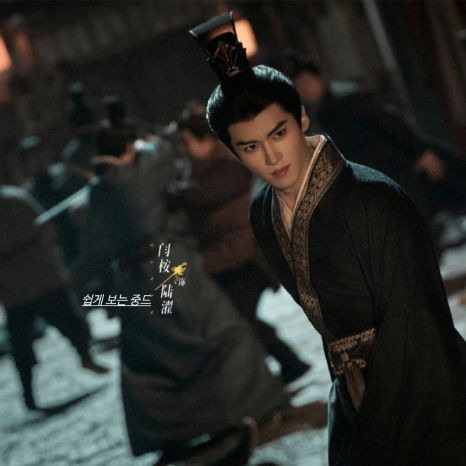 가금채 중국드라마 총정리|줄거리·출연진·전희미 1인 2역·몇부작·넷플릭스·장하오 OST 동왕