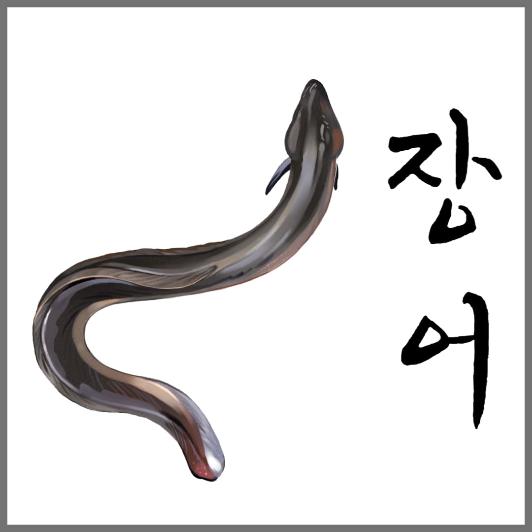 민물장어-그림