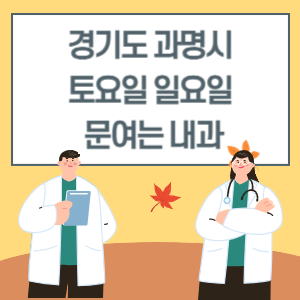 광명시 토요일 일요일 내과 진료 문여는 병원 리스트