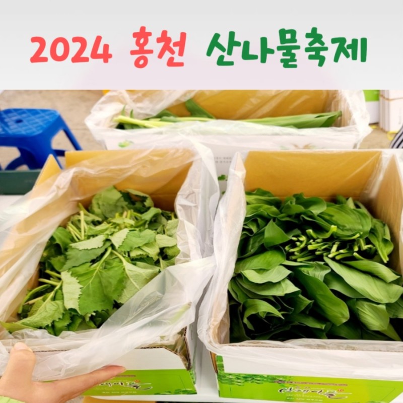 강원 N 홍천 산나물 축제 특징