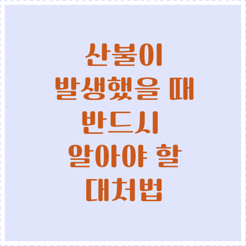 산불이 발생했을 때 반드시 알아야 할 대처법