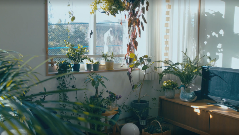 아오바의-식탁-스틸컷21