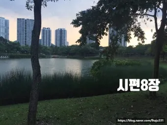 시편 8편 설교 아이디_24