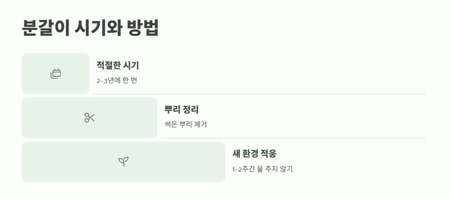 호접란 키우는법 쉽게 정리 15