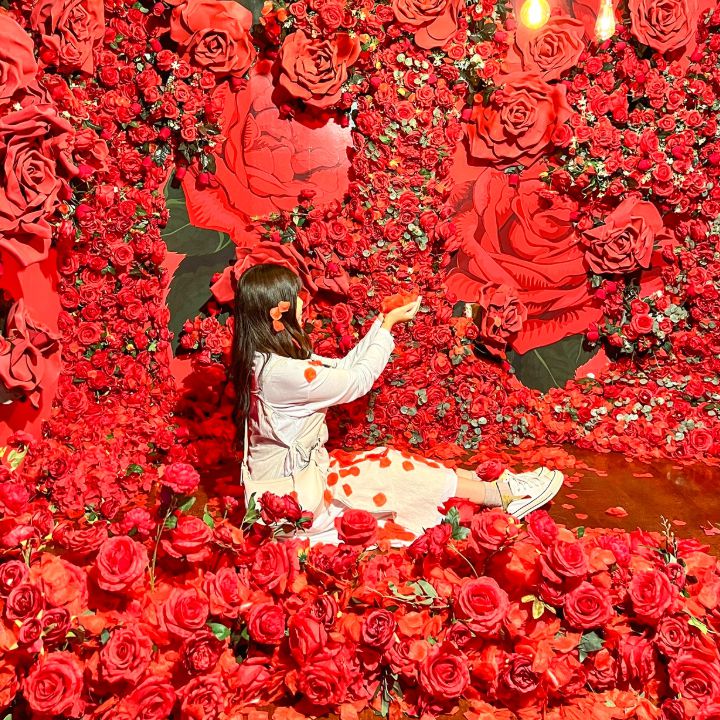 제주도 가볼만한곳 10곳 30선 제주홀릭뮤지엄