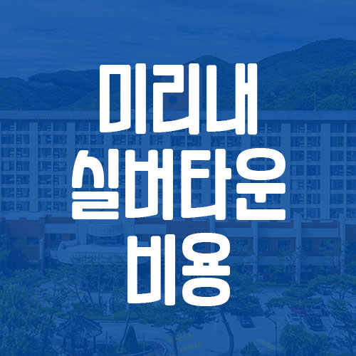 안성 미리내실버타운 비용