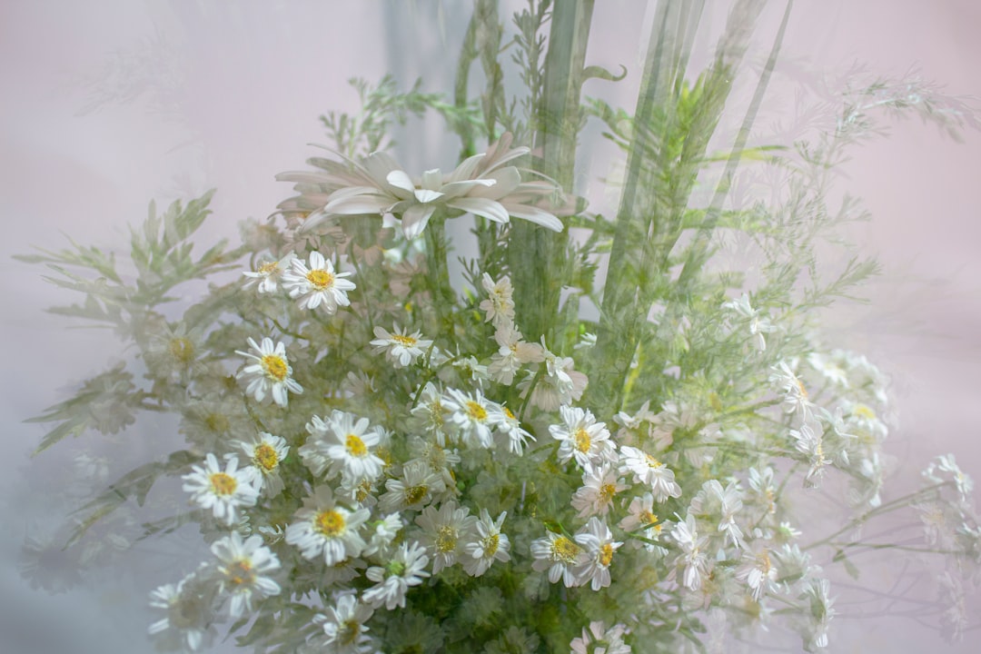 Freshness
