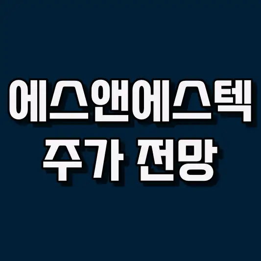 에스앤에스텍