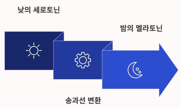 멜라토닌 효능