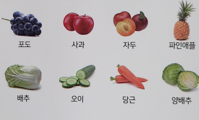 콩팥질환 환자를 위한 건강한 식단