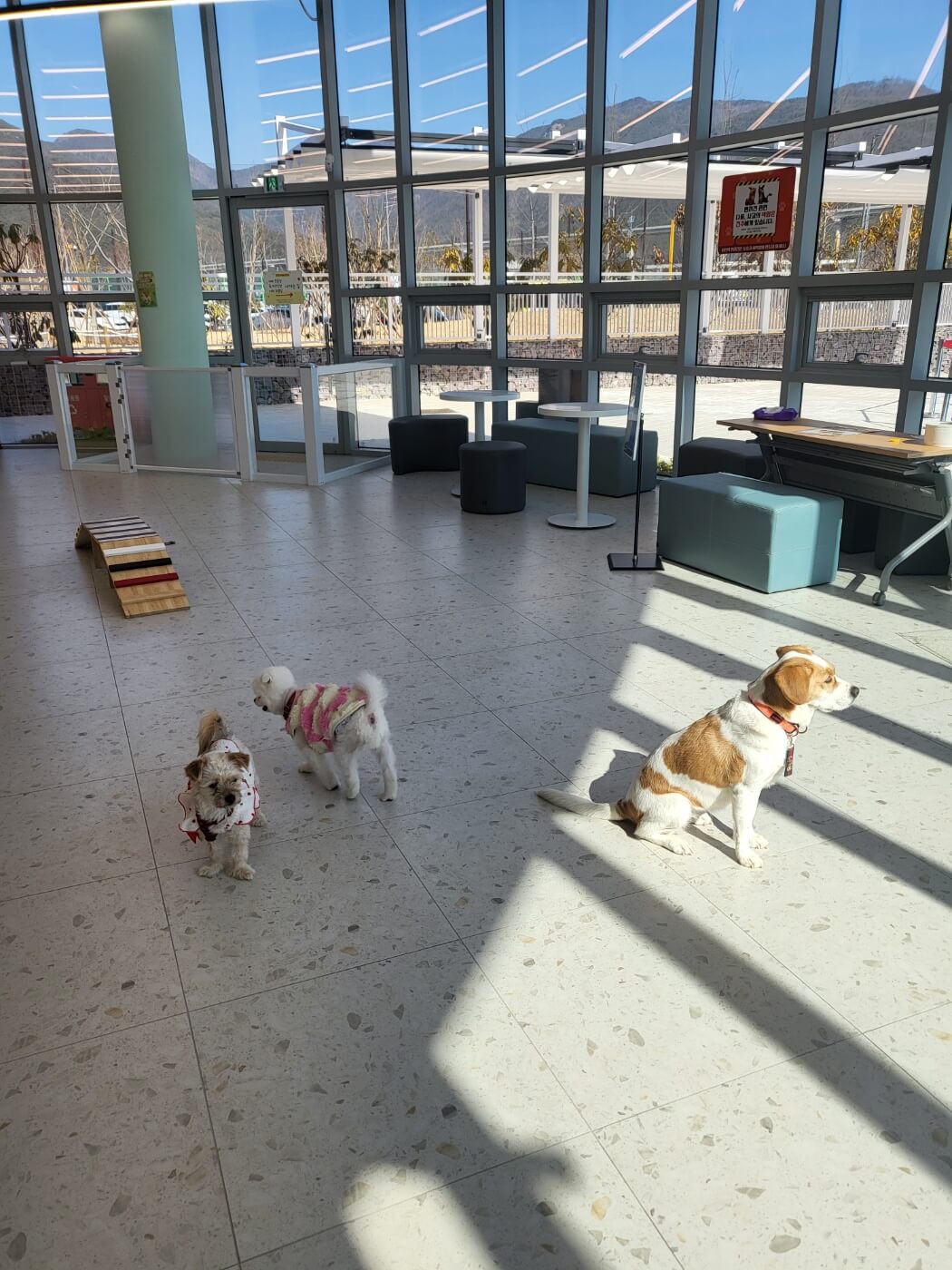 반려동물지원센터 4