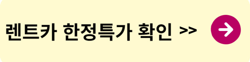제주 엔젤렌트카