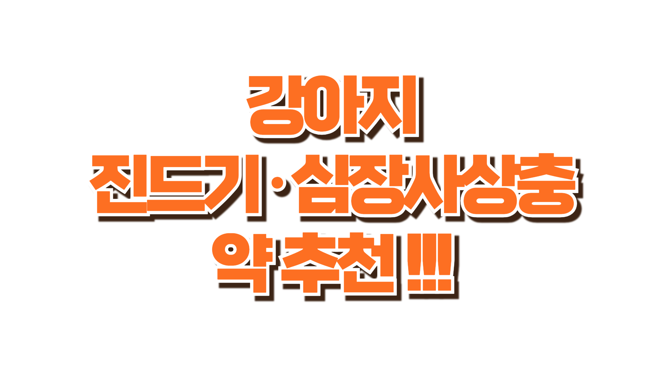 진드기·심장사상충 약 추천 총정리 사진