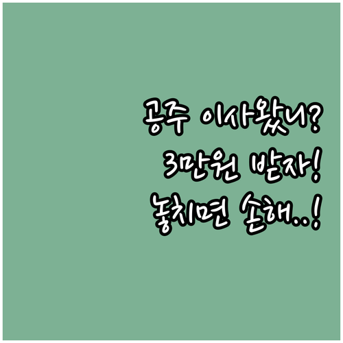 공주시 전입 시민을 위한 2025년 ..