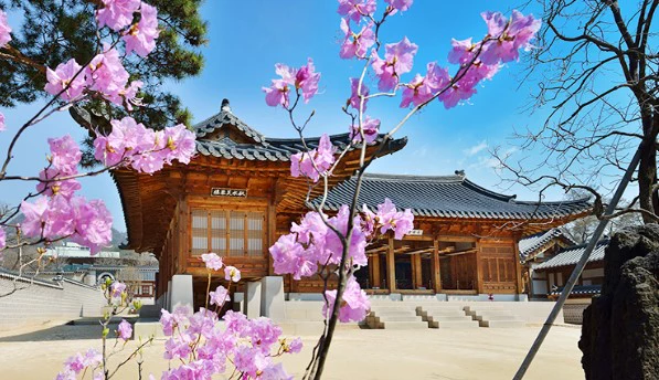 경복궁-봄사진3