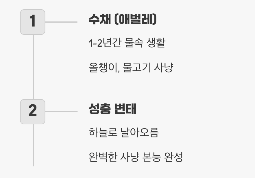 물속에서부터 시작된 사냥꾼의 운명