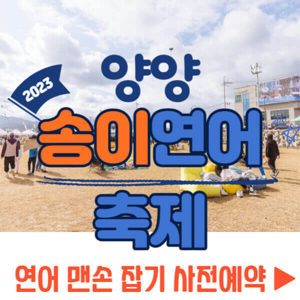 양양 송이 연어축제 연어 맨손 잡기