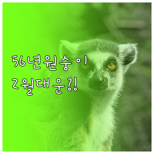 1956년생 원숭이띠 2월 운세 흐름..