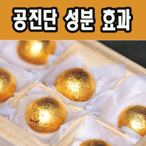 ๊ณต์ง๋จ ํจ๋ฅ