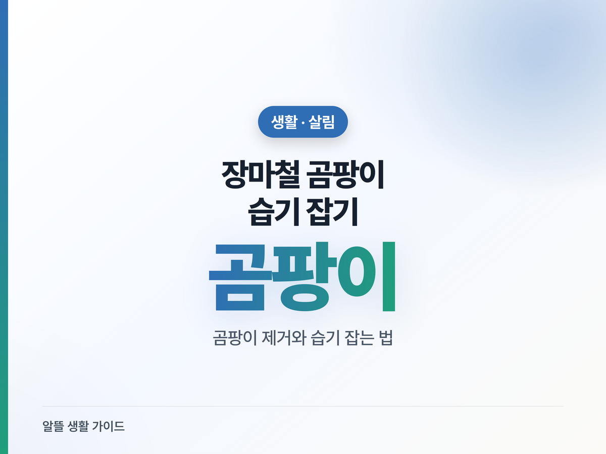장마철 곰팡이·습기, 욕실·벽지·옷장 잡는 법