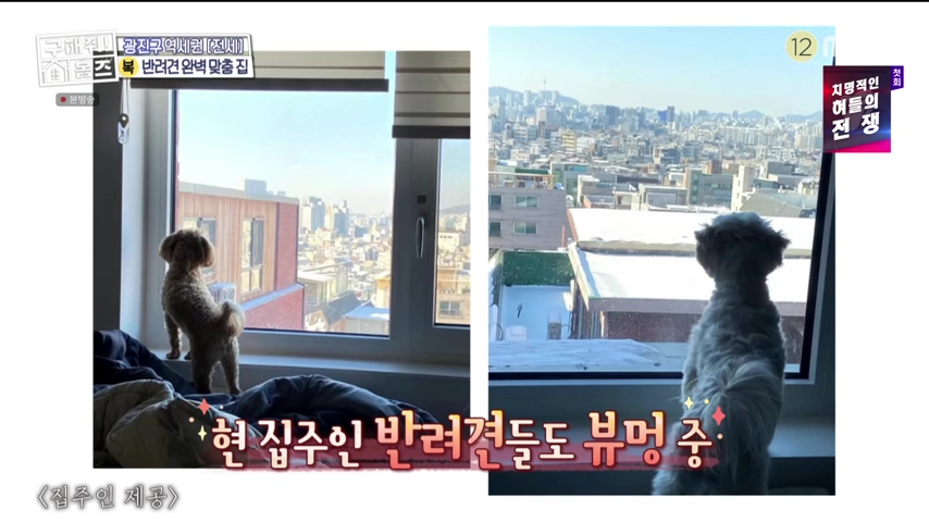구해줘홈즈 댕댕하우스 동물병원 인접 서울시 광진구 중곡동 전세 매매 매물 가격 및 구조 인테리어 리모델링 최종선택 더보이즈 영훈 현재 소개