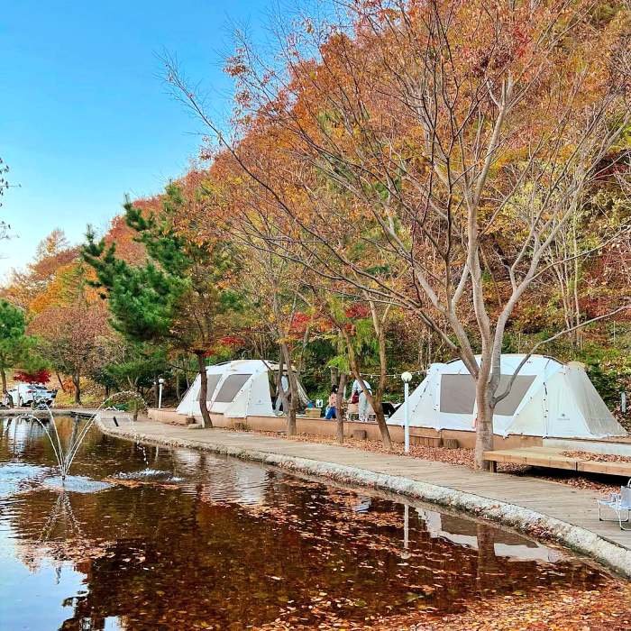 생방송오늘저녁 경주 차박 오토캠핑 캠핑장 추천 및 아내 힐링 위해 캠핑카 4번 바꾼 사연
