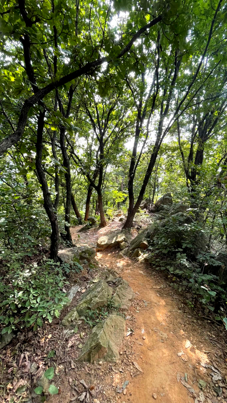 광명 구름산 가을산행 코스