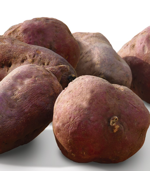 머리카락에 좋은 음식 10가지