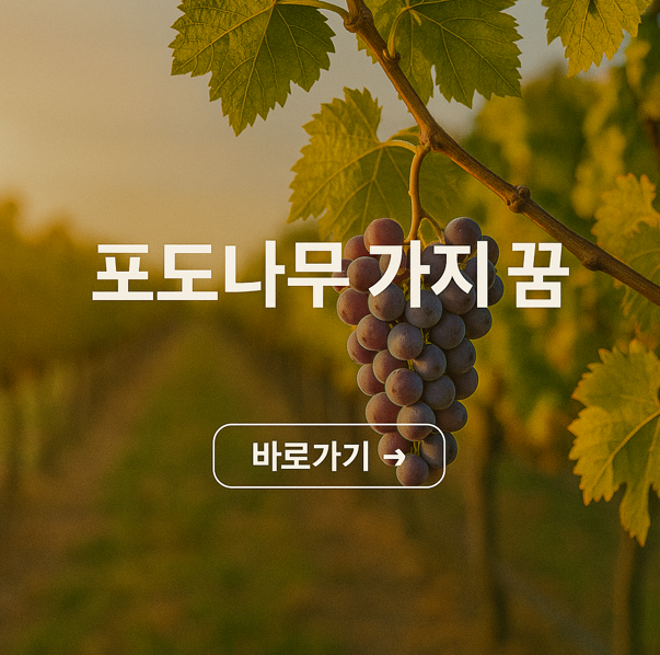 포도나무 가지 꿈