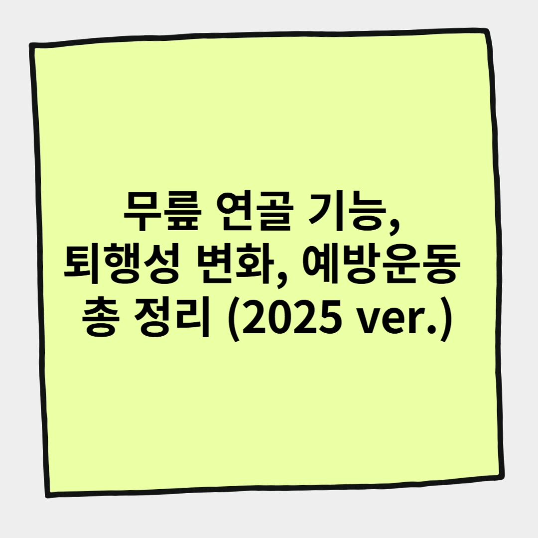 무릎 연골 기능, 퇴행성 변화, 예방운동 총 정리 (2025 ver.)