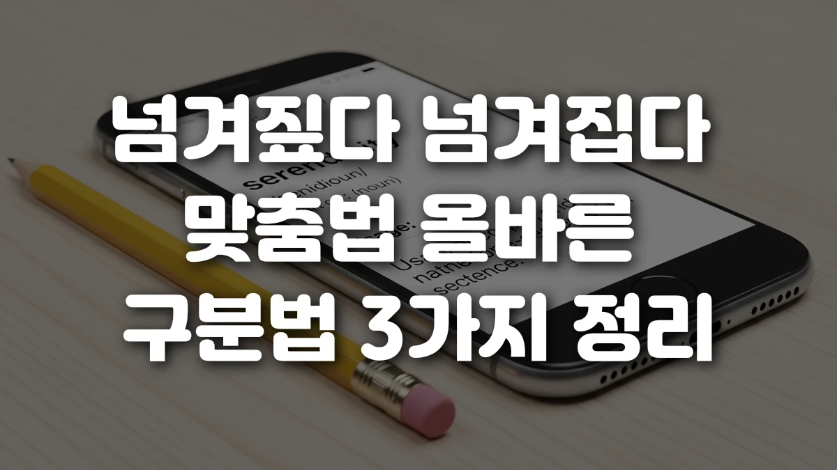 넘겨짚다 넘겨집다 맞춤법 올바른 구분법 3가지 정리
