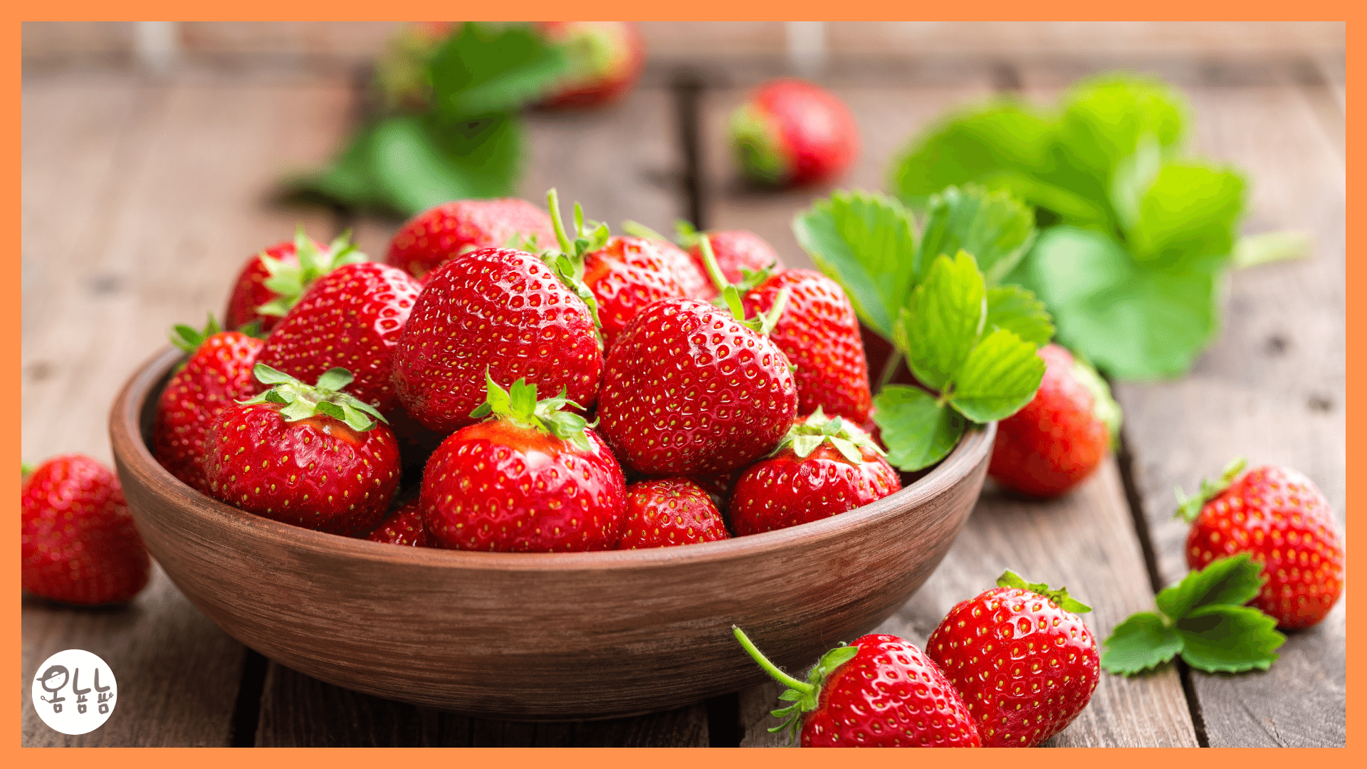 염증에 좋은 음식