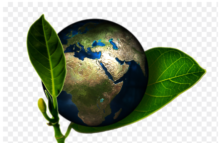 탄소중립포인트