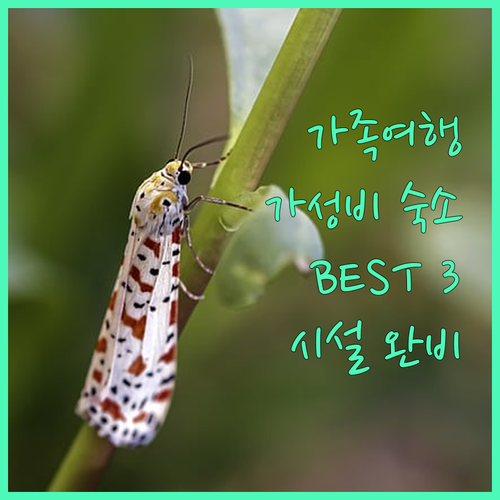 세부 가족여행 가성비 숙소 추천 BE