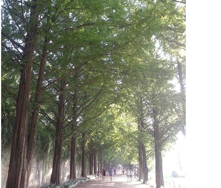 스마트한 현대건설 직원들이 추천한 “나의 최애 여름 여행지&quot;