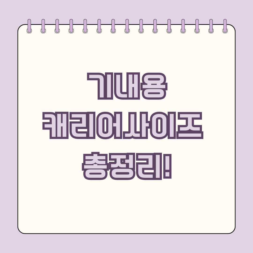 기내용 캐리어 사이즈