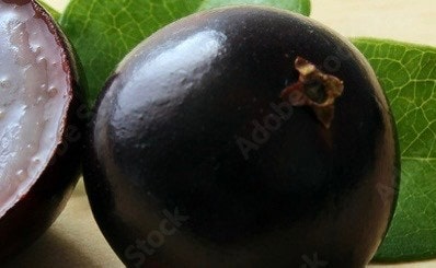 산화 효과와 중요성