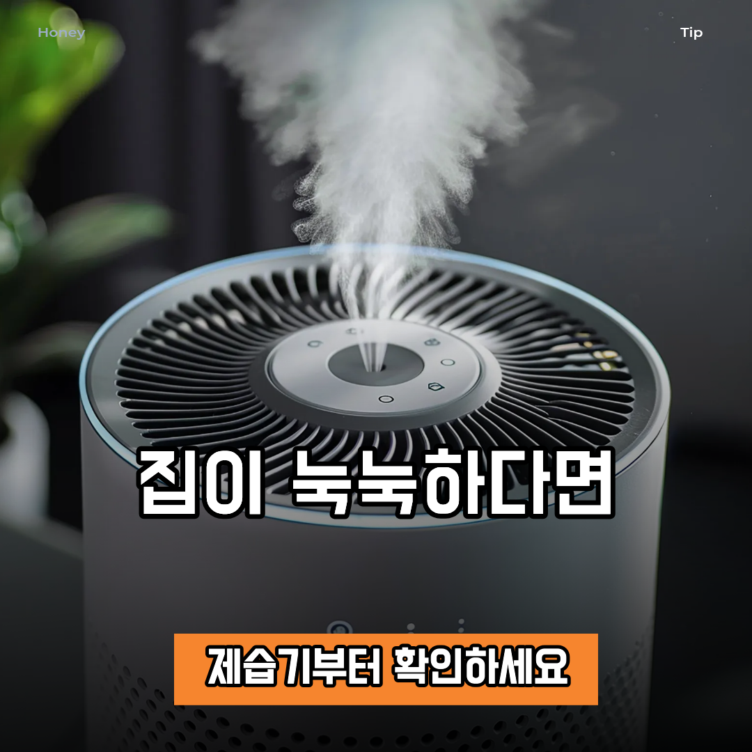 제습기 원리와 효과, 여름철 쾌적한 실내를 만드는 기준