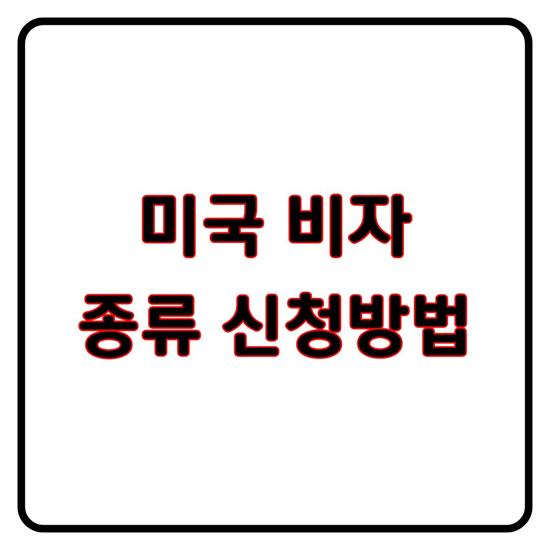 미국비자 종류 신청 방법 정리