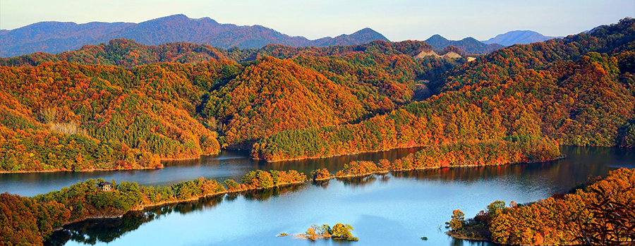 충북 옥천 부소담악 단풍