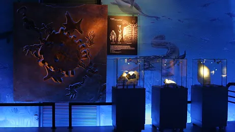 우석헌 자연사 박물관