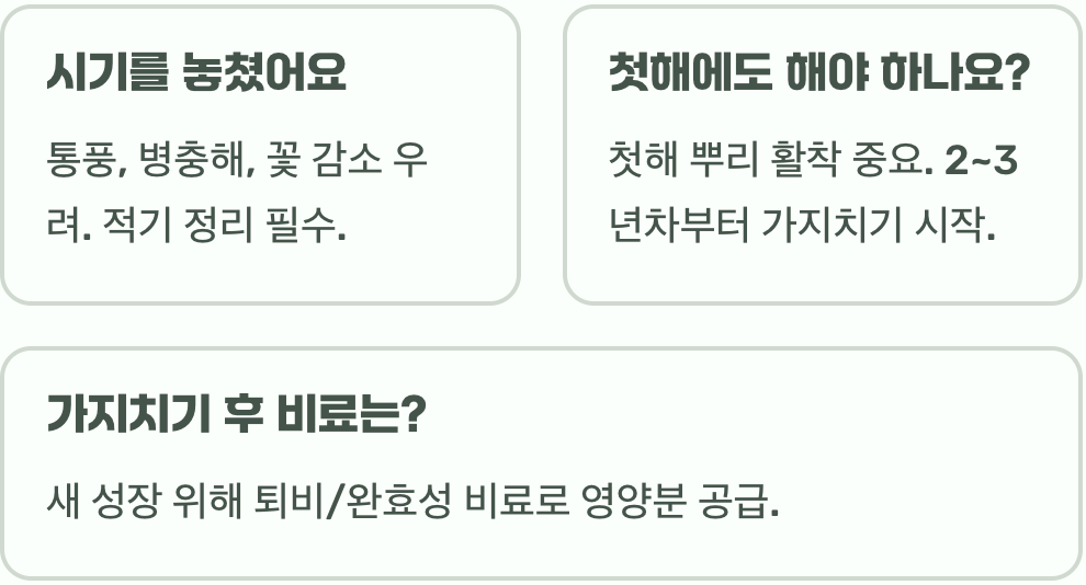 내년에도 풍성하게, 으아리꽃 가지치기 황금 법칙과 최적 시기