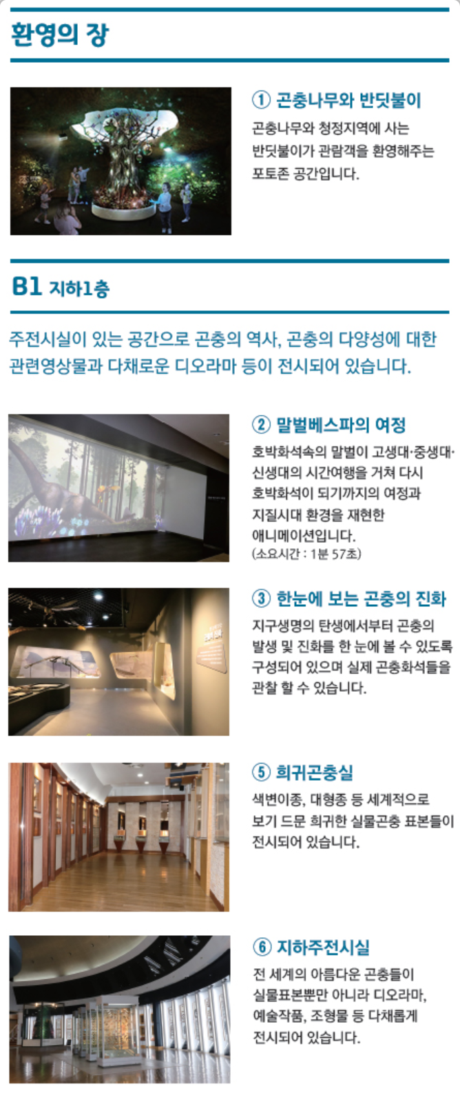 무주 반디랜드