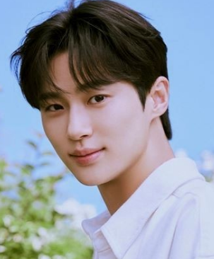 연예인 나오는 꿈해몽