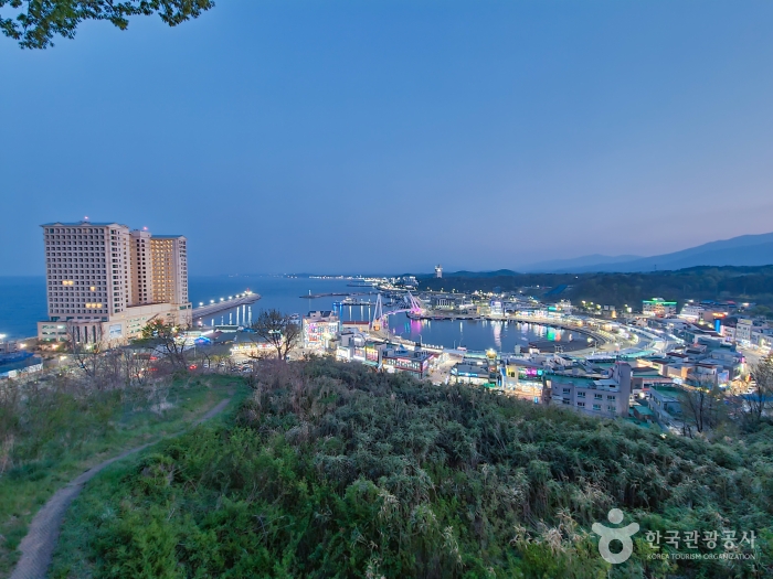 속초 대포항전망대